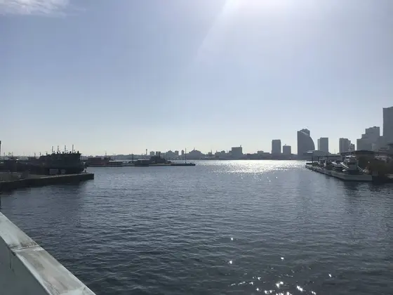 海がキラキラと