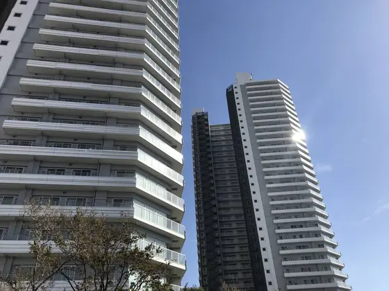 対象的ですね。