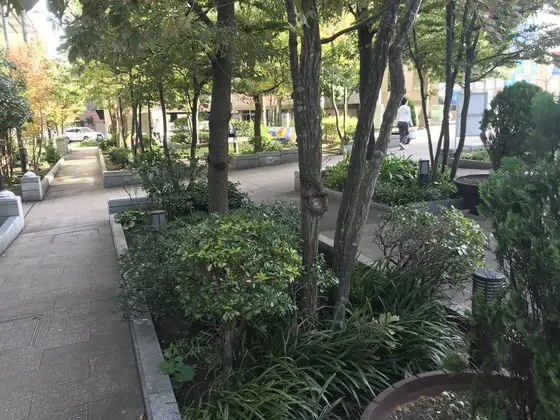 何気ない公園