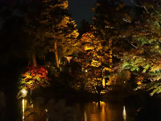 スポット内のおすすめ