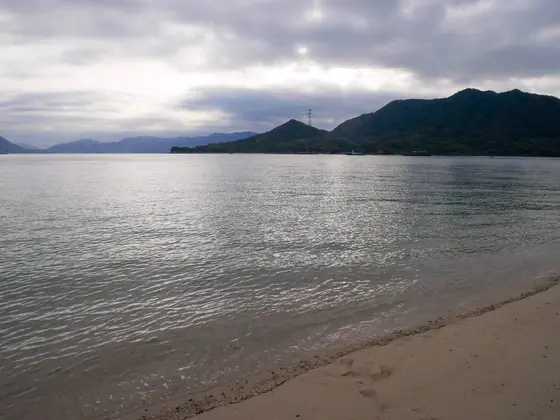 海