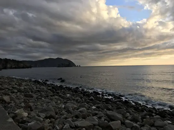 そろそろですかね？