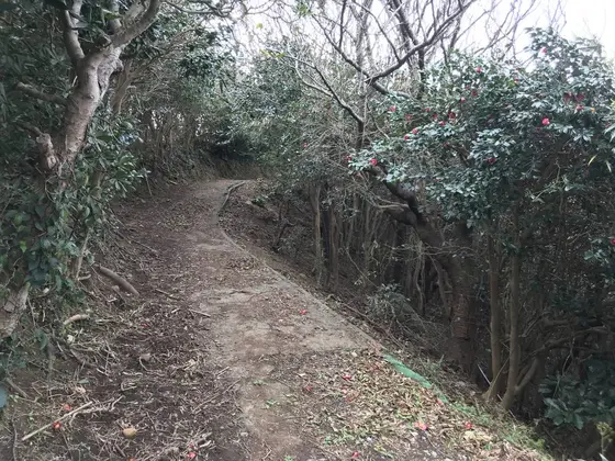 ヤバい位、歩きやすい