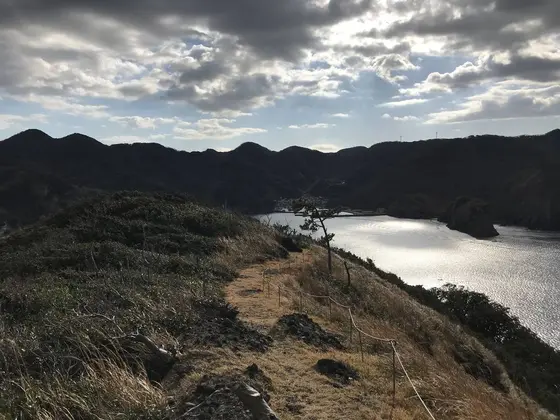 海面がキラキラ輝いて