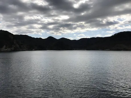 湖のようです。