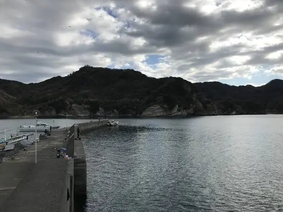 伊浜同様穏やかです。