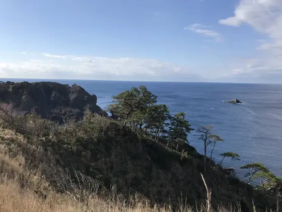 伊豆随一の海の透明度を誇ります。