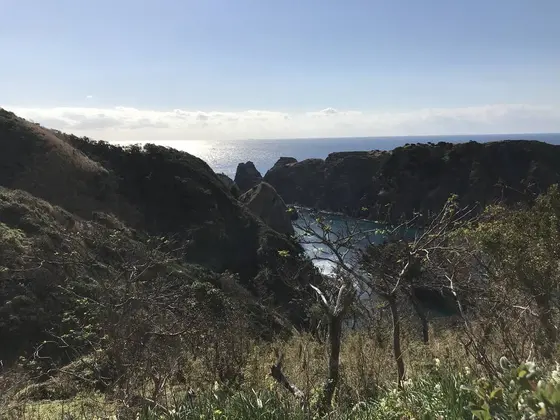 目の前は大根島