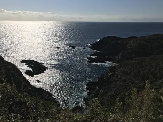 素晴らしい岩礁と絶壁