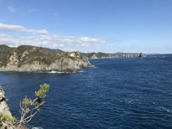 下田方面の眺望