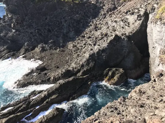 自然の力は凄い