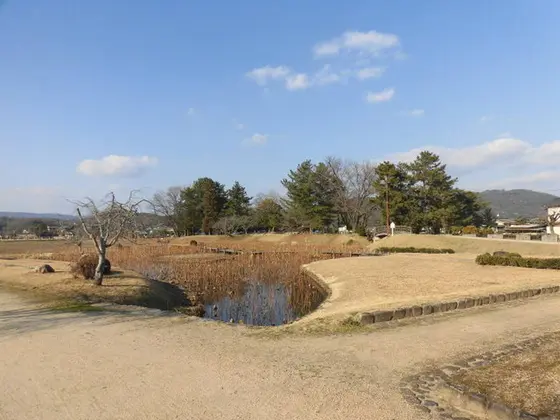公園