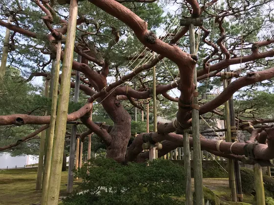 うあ、キモっ