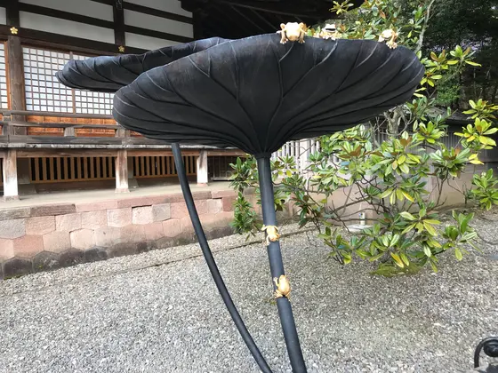 因みに蓮にカエル
