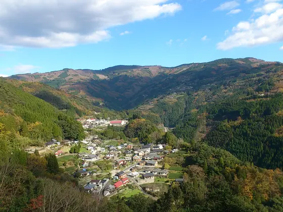 オススメ情報