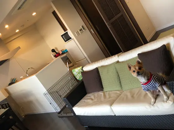 キッチン&リビングダイニング