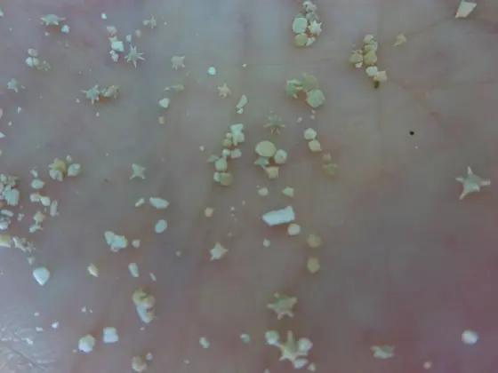 星砂