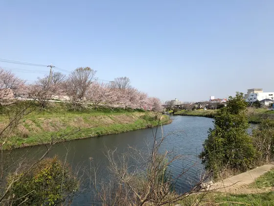 八千代市付近(砂利道)