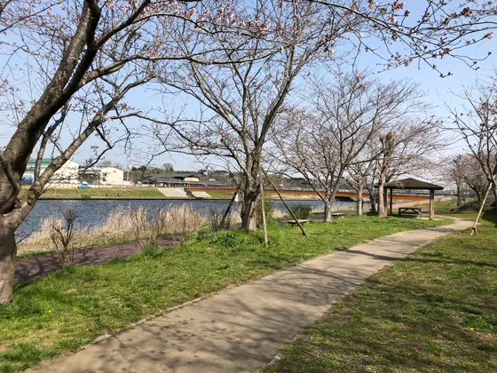 裏手？の川沿い