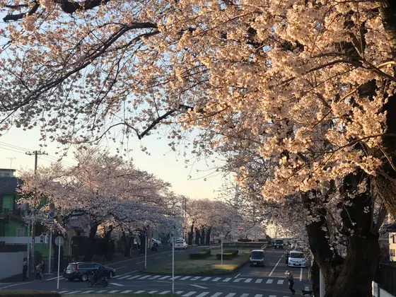 坂の上