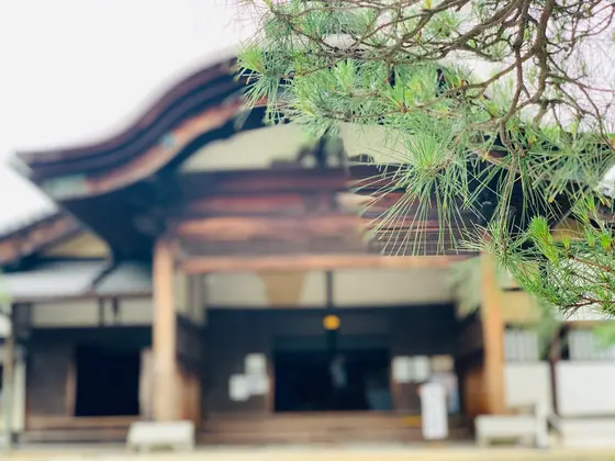 三宝院と松