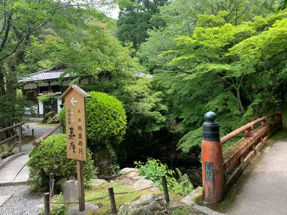 お休み所