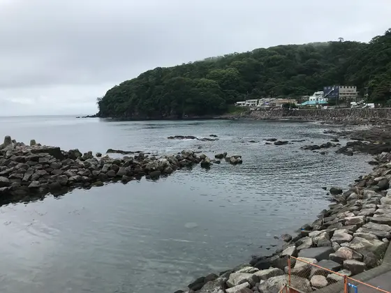 透明度は高いです。