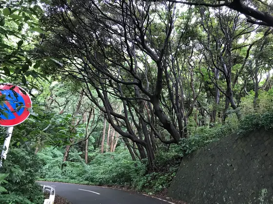 おはやしの中へ