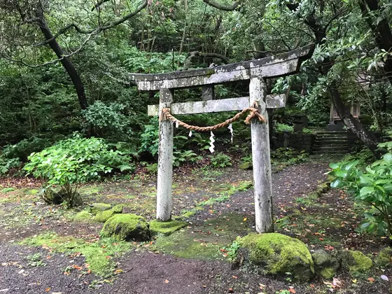 森の中の鳥居