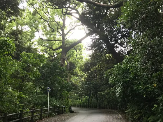おはやしの中も