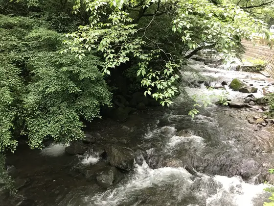 素晴らしい眺め