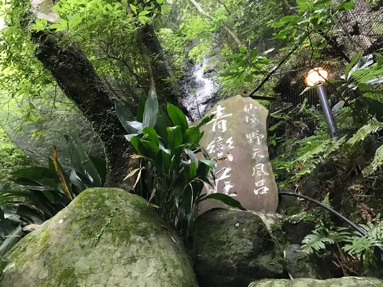 多く入れればいいってモノでもない
