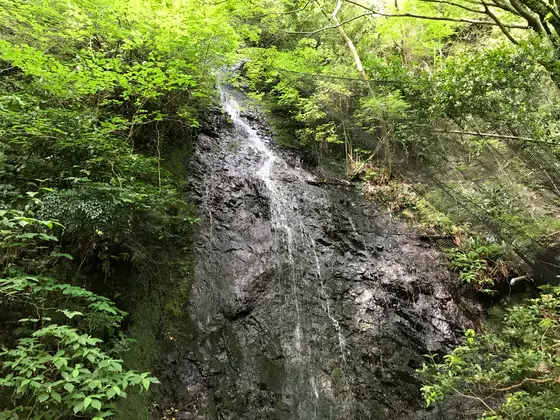 白龍の滝を見上げます。