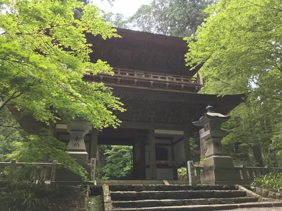 三門ドアップ