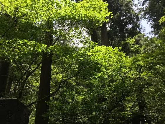 宿坊も完備