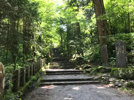 参道は続くよどこまでもw