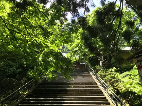 この階段を登ると