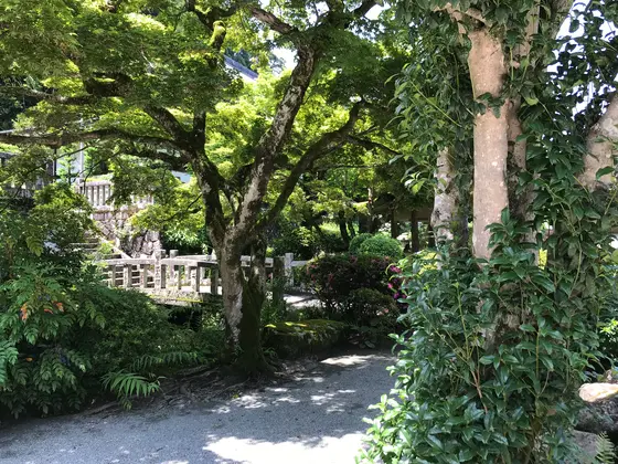 ちょっとした小径も