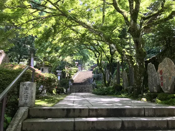 めっちゃ木漏れ日