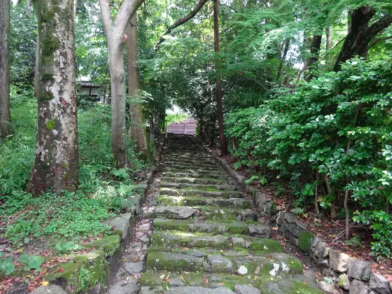 光秀もこの坂を上がった…？