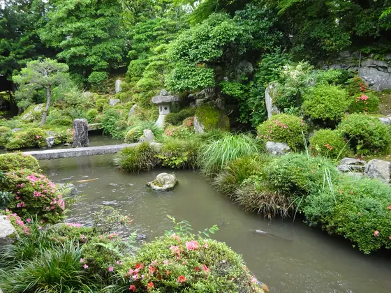 鶴と亀はどこにいる…？