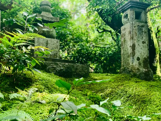 入口 右手