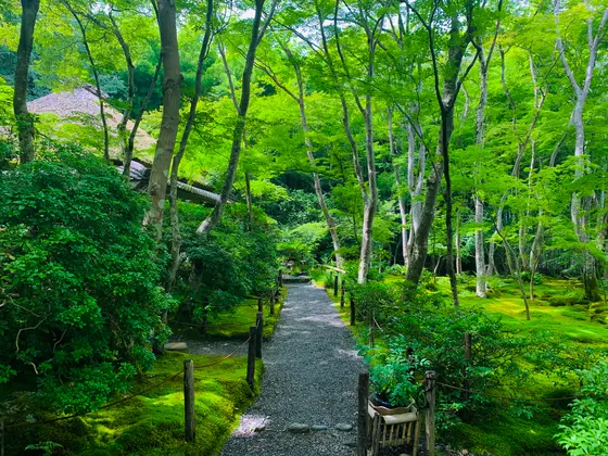 入口を抜けると…