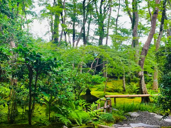 控え間  縁側からの景色