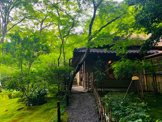 草庵 別角度