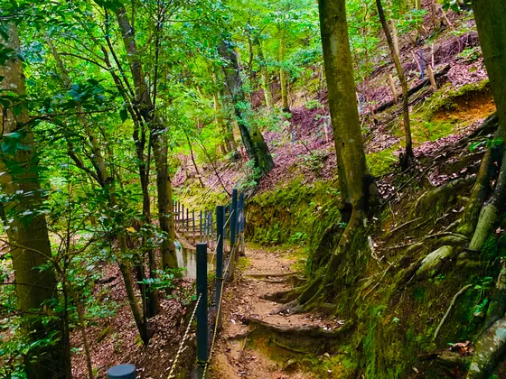 山道
