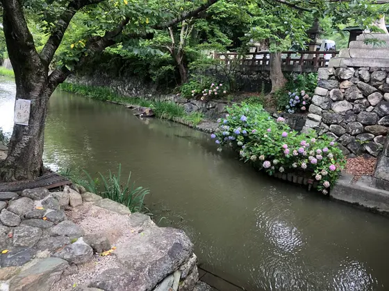 ここは橋の下