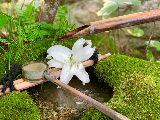 つくばい