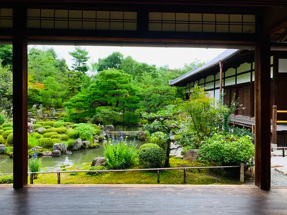 西の芙蓉池