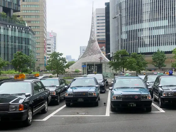 ドレスみたいな形してる